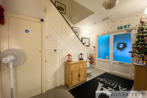 Gemini_Generated_Image_ne91jne91jne91jn