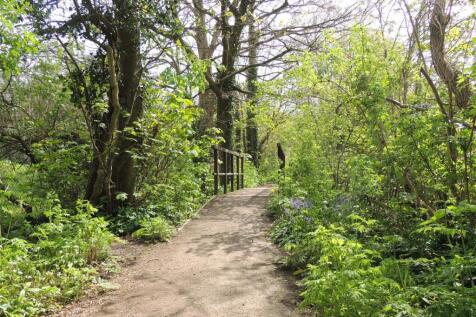 Surrounding Area / Walks