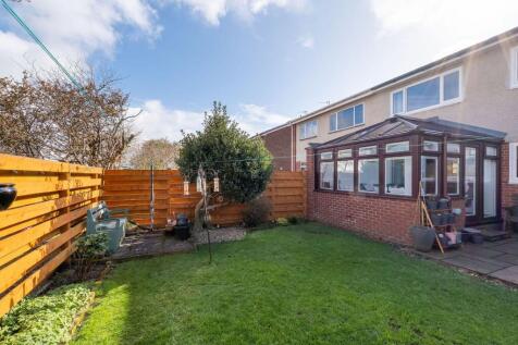 Back garden