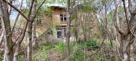 View of the two-storey brick house partially obscured by trees and bushes in spring