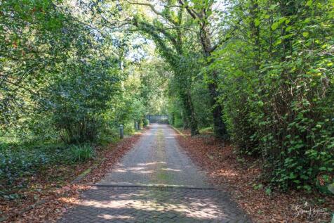 Welcome to Swaylands Close