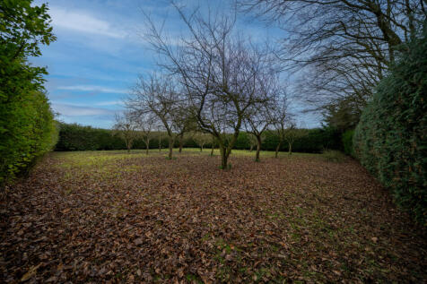 DSC08686-HDR-Edit
