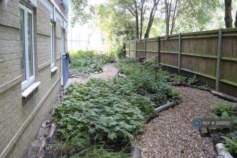 Communal Garden At Back