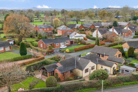 Elevated situation.jpg