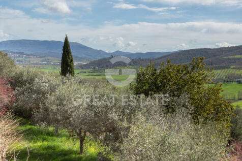 Panorama e Particolari