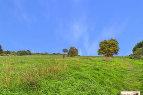 CAM02769G0-PR0945-STILL015.jpg