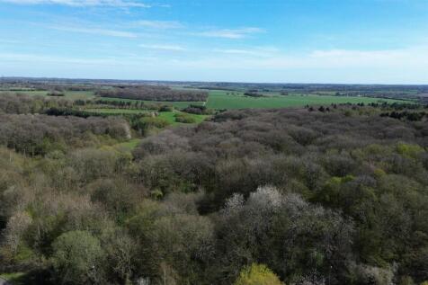 DJI_0298.JPG