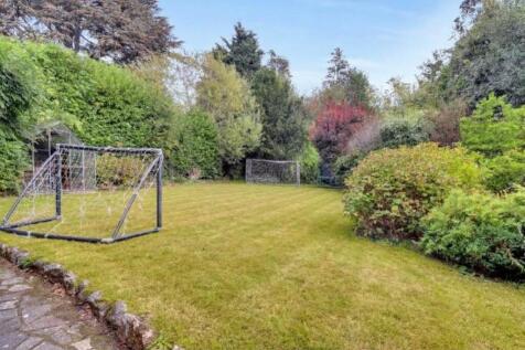 Summer lawn 2