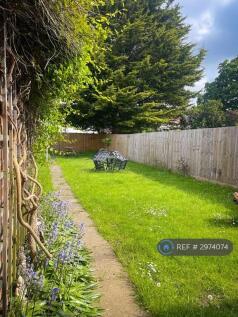 Shared Back Garden