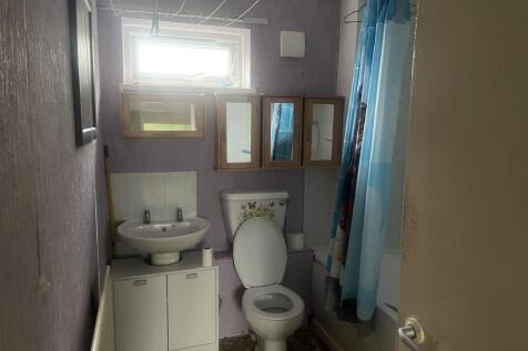 IMG 5829 T202601161441.jpeg