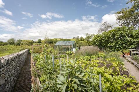 Vegetable Garden