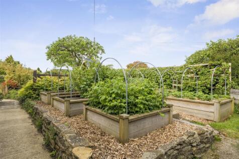 Vegetable Garden.jpg