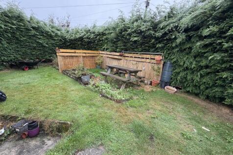 garden 2.jpeg