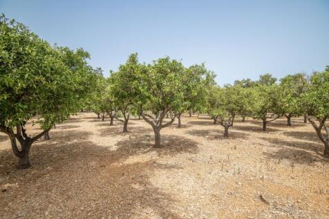 VILLA FOR SALE IN THE COUNTRYSIDE 