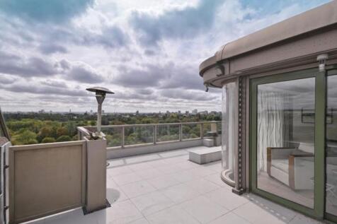 21 Park St James - Terrace .jpg
