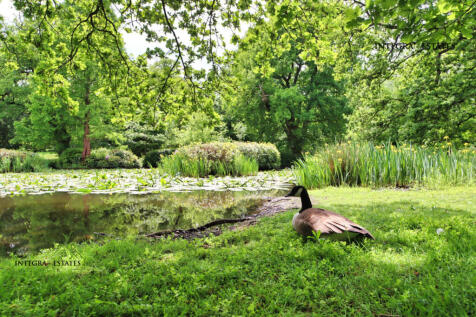 Wildlife keston Wilberforce court BR2