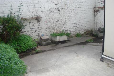 Patio Garden