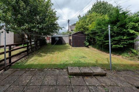 Back Garden