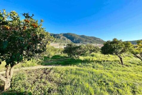 10-Andratx-Charmantes Haus-orange