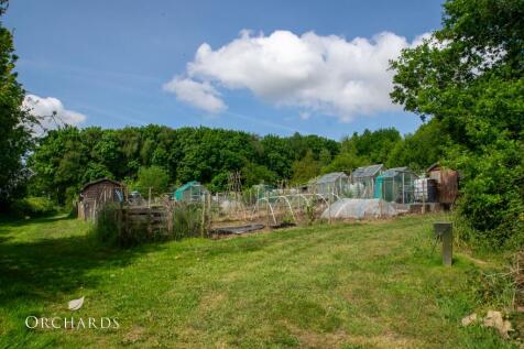 Allotments Further Up The Lane