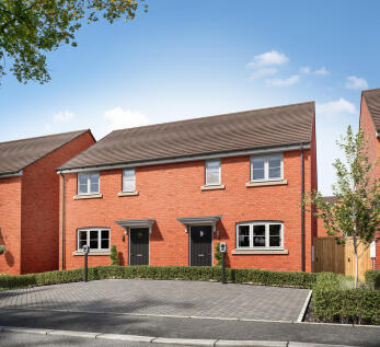 Forget me not - Plot 354-355