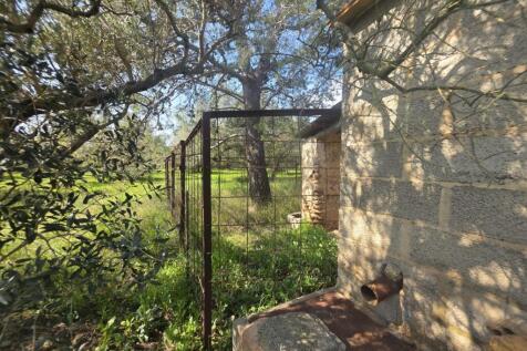 Property Image 64