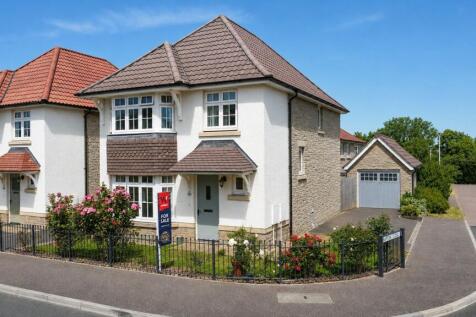 Picture No. 16
