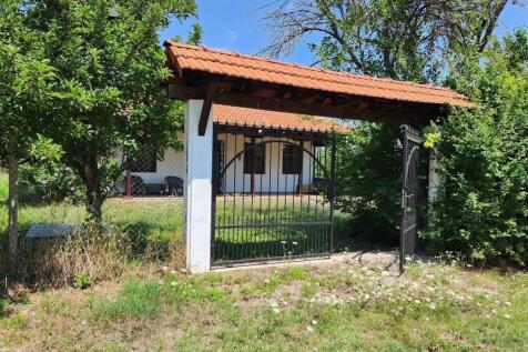 Black metal gate with tiled roof leading to the garden and house entrance