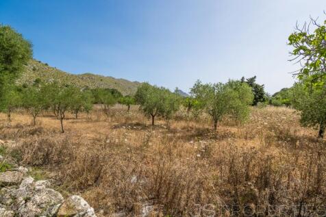 Plot for sale in Pollensa