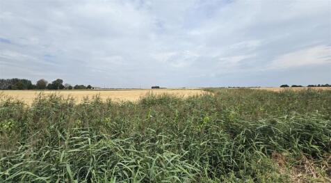 Field Views