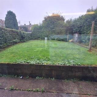 Garden.jpg
