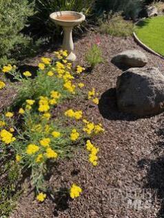 Property Image 69