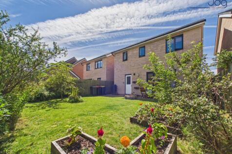 A Generous &amp; Established Rear Garden