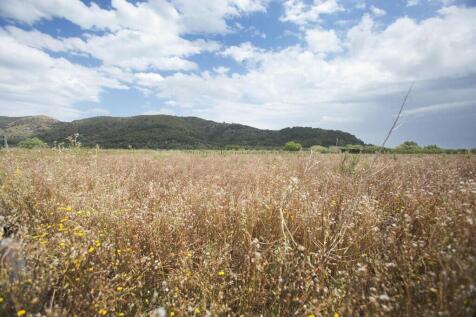 Alcudia plot 2