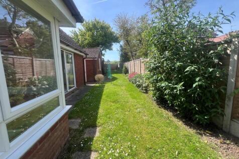 garden 2.jpg