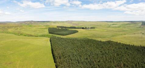 Emblehope Moor &amp; Long Crag