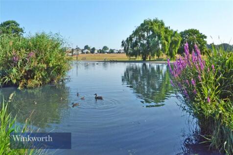The Pond