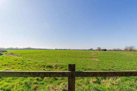 Field View