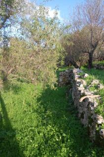 Landscape &amp; terrain