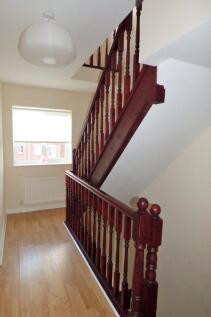 36667850_4TL0LTX3F85