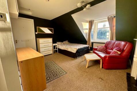 Living/Bedroom Area