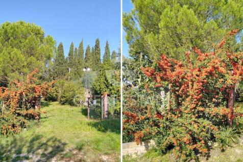 Panorama e Particolari