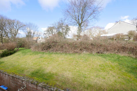 Garden-grass