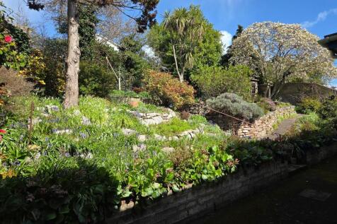 Garden in Spring