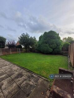 Back Garden 