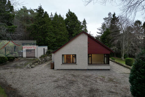 dji_fly_20251213_195202_34_1765791522084_photo