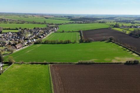 DJI_20260321112316_0158_D.JPG