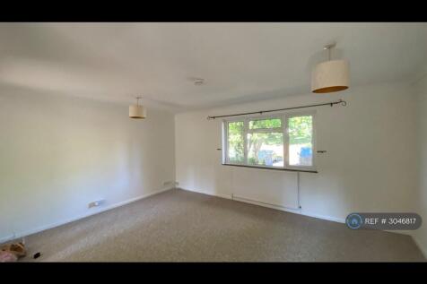 Lounge Towards Front
