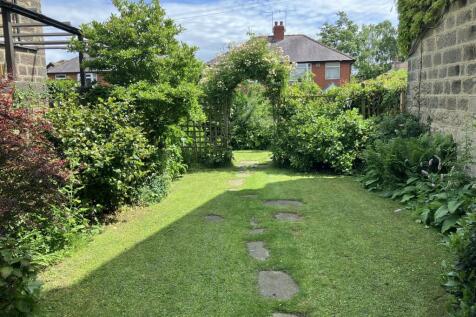 front garden June 26.jpeg