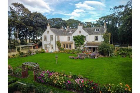 The Property
